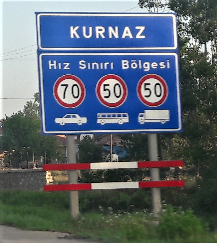 Kurnaz, Suluova tabela
