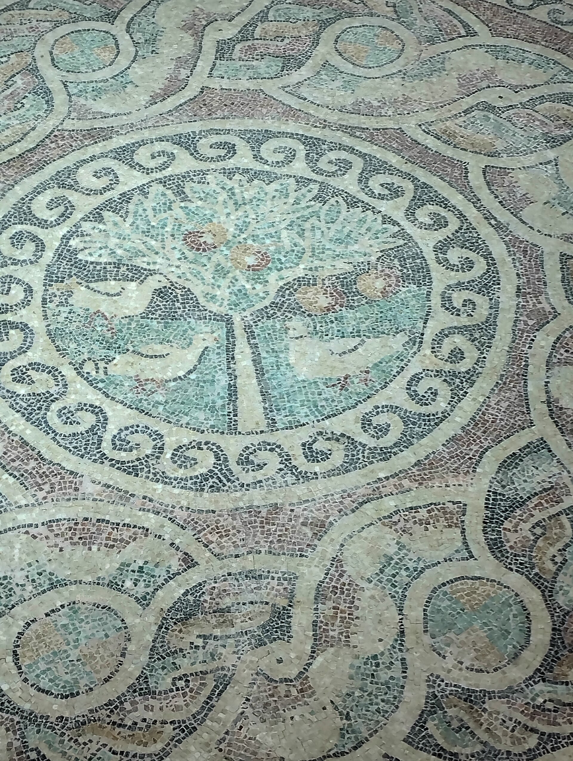 Mosaïque époque romaine - musée d'archéologie - Amasya - Turquie