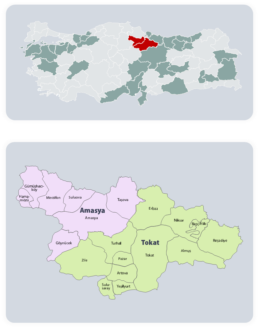 AMASYA D.GAZ Ü.Y