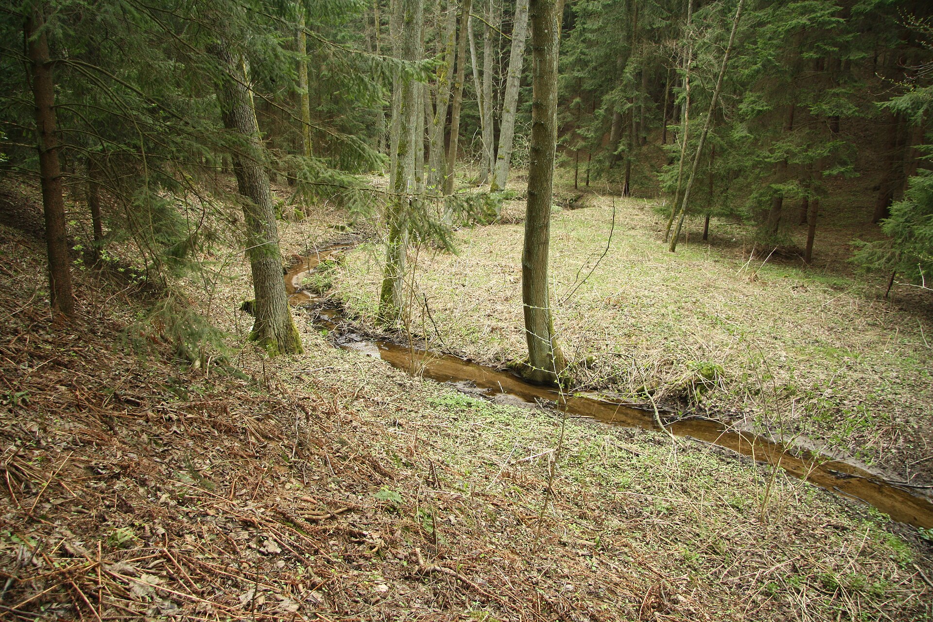 Komárovský stream near Tasov, Žďár nad Sázavou District