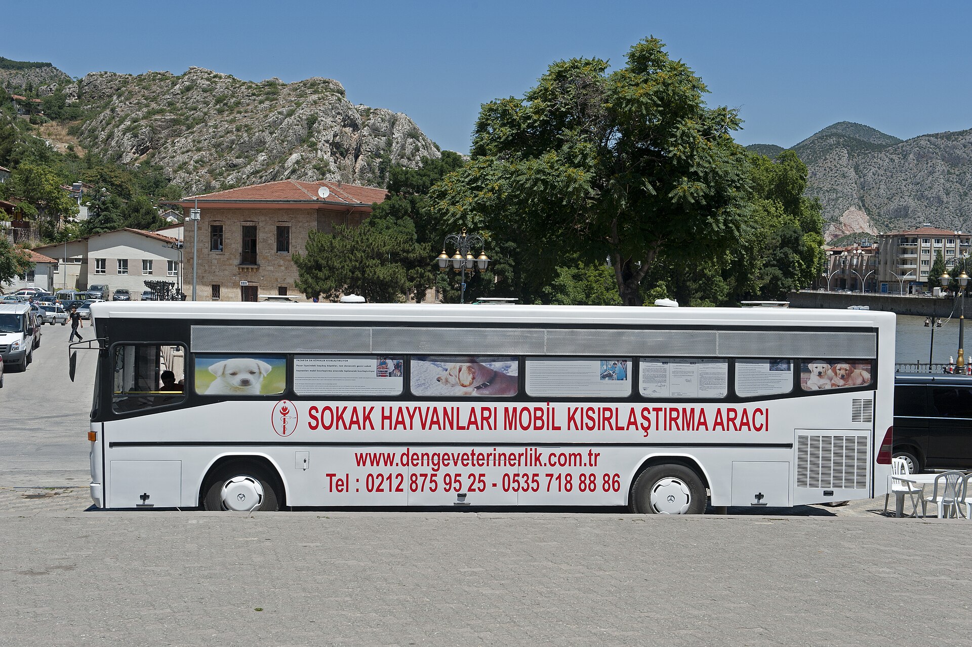 Amasya Street animals health campaign
