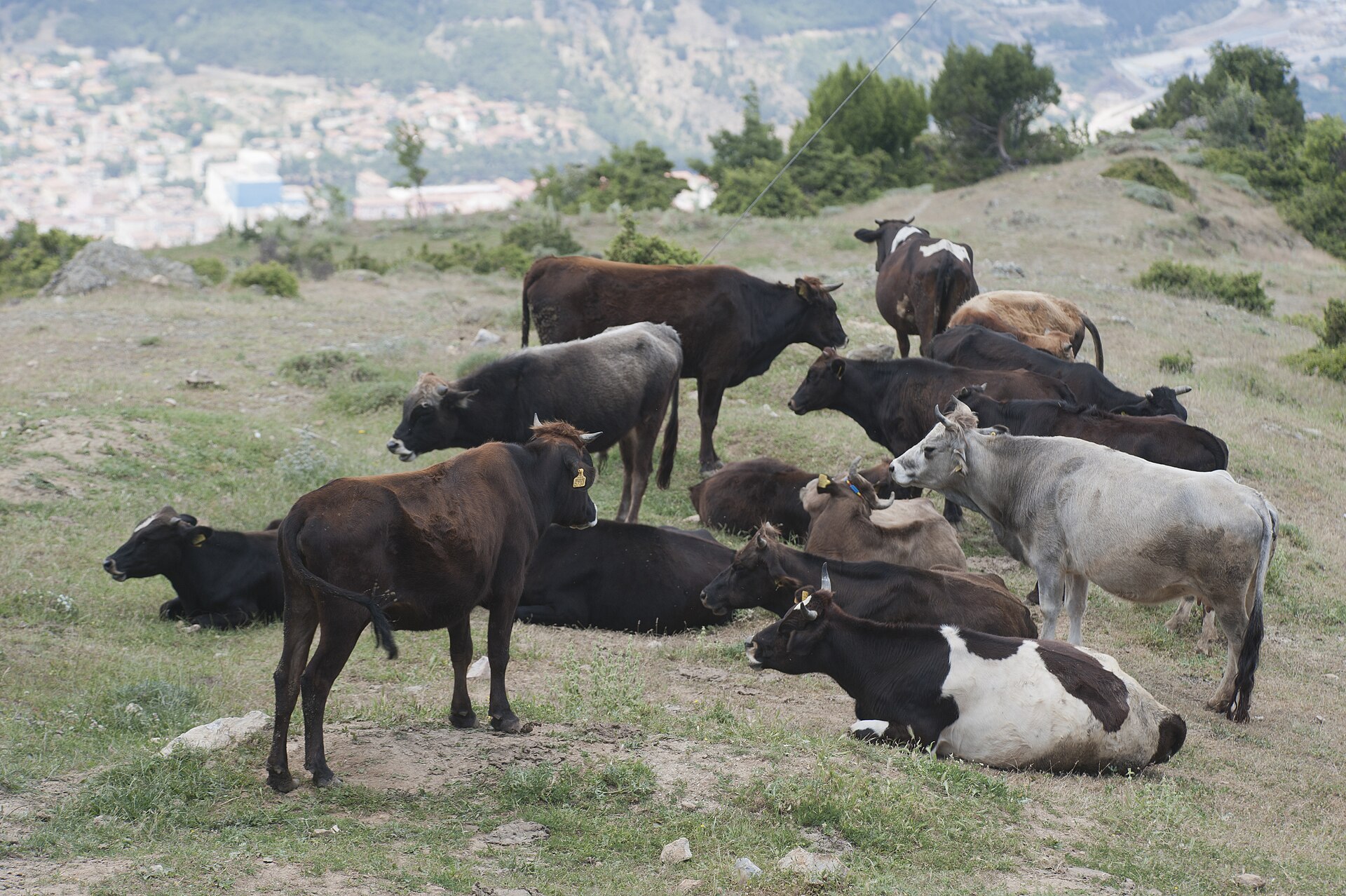 Amasya Mountain to south Plateau