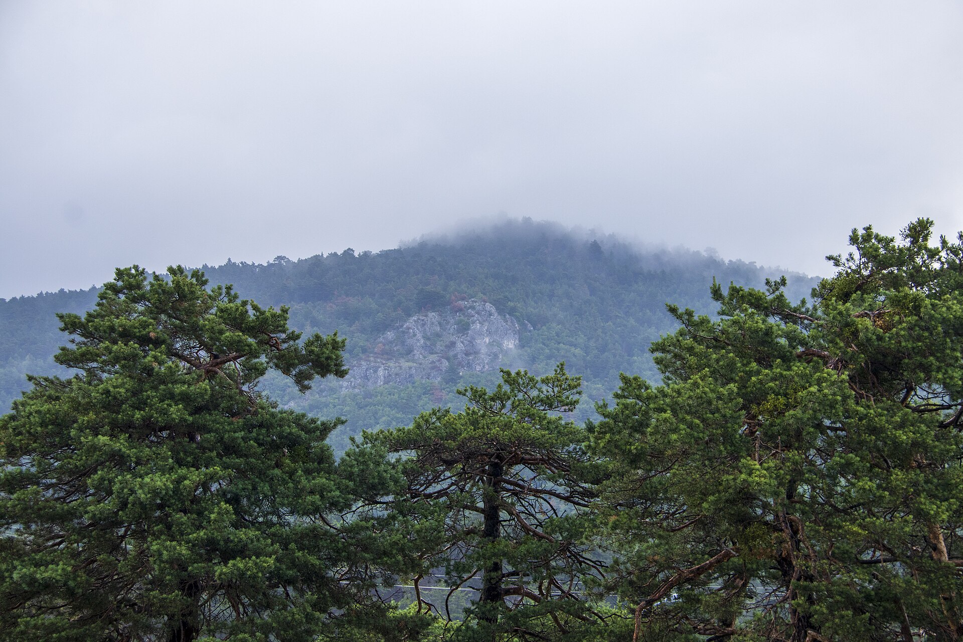 Foggy Mountain