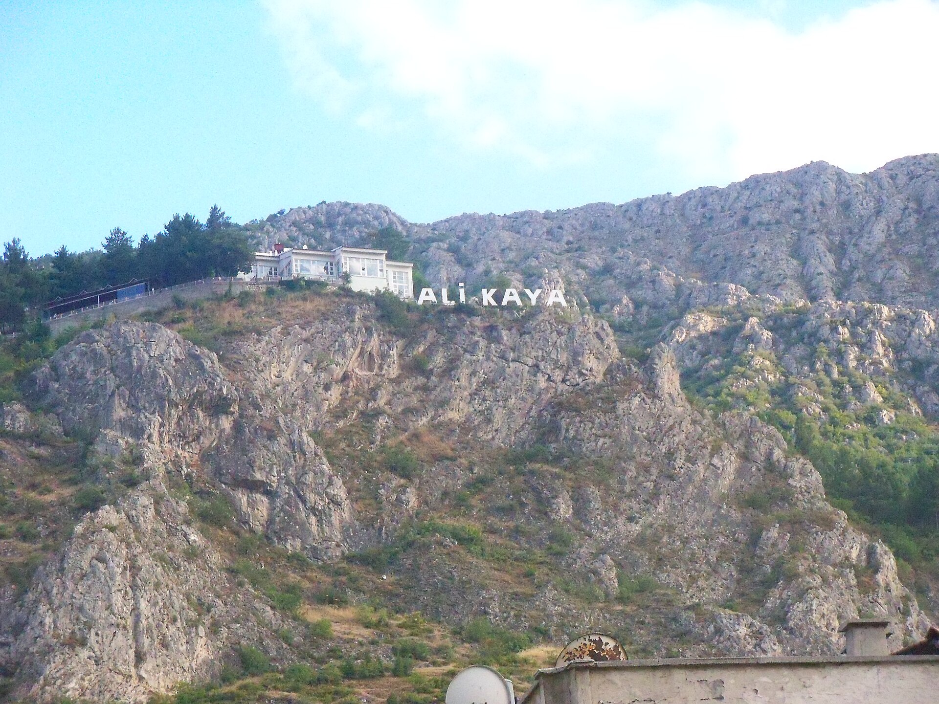 ALİ KAYA RESTORANT