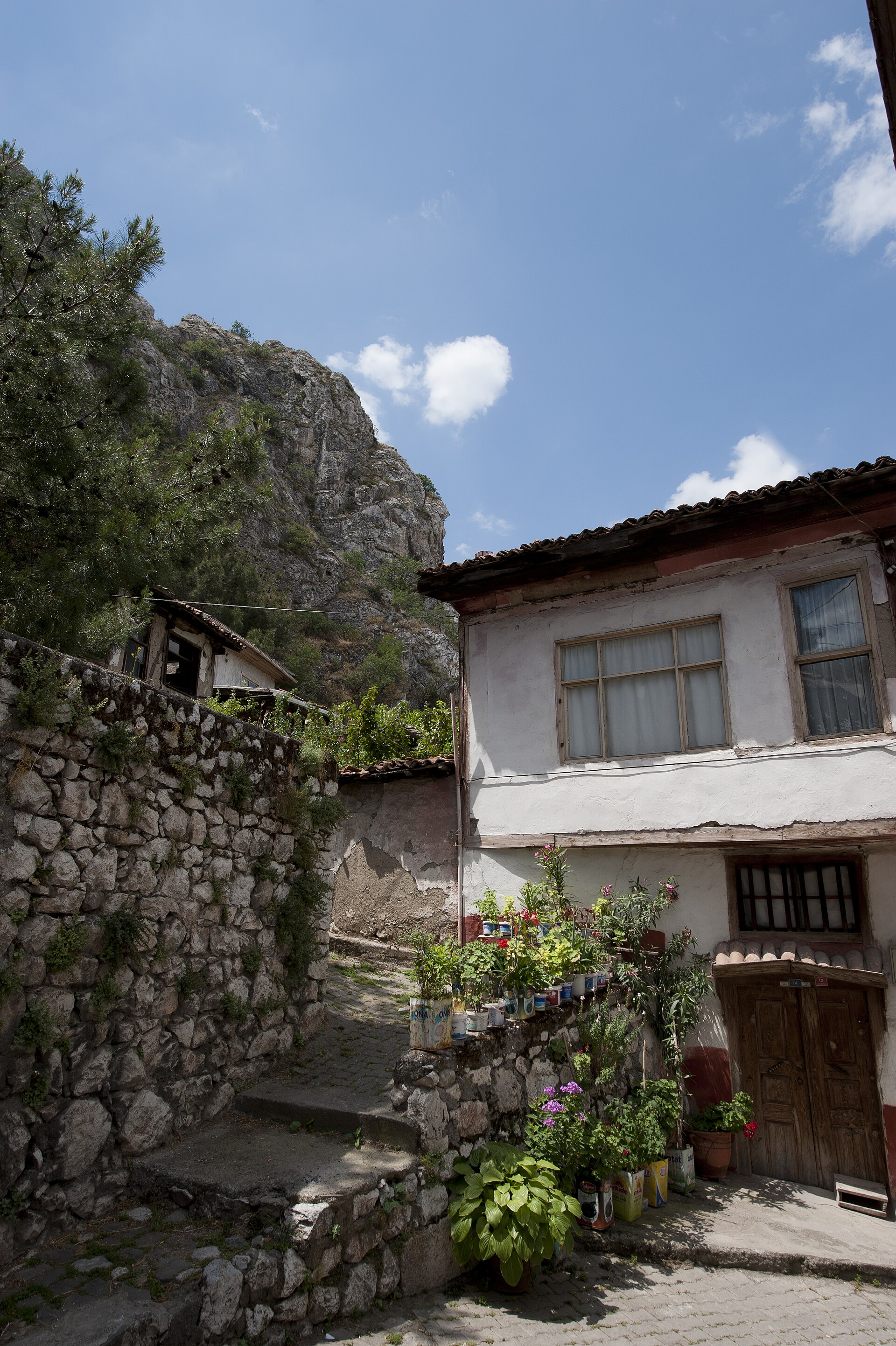 Amasya Old style houses