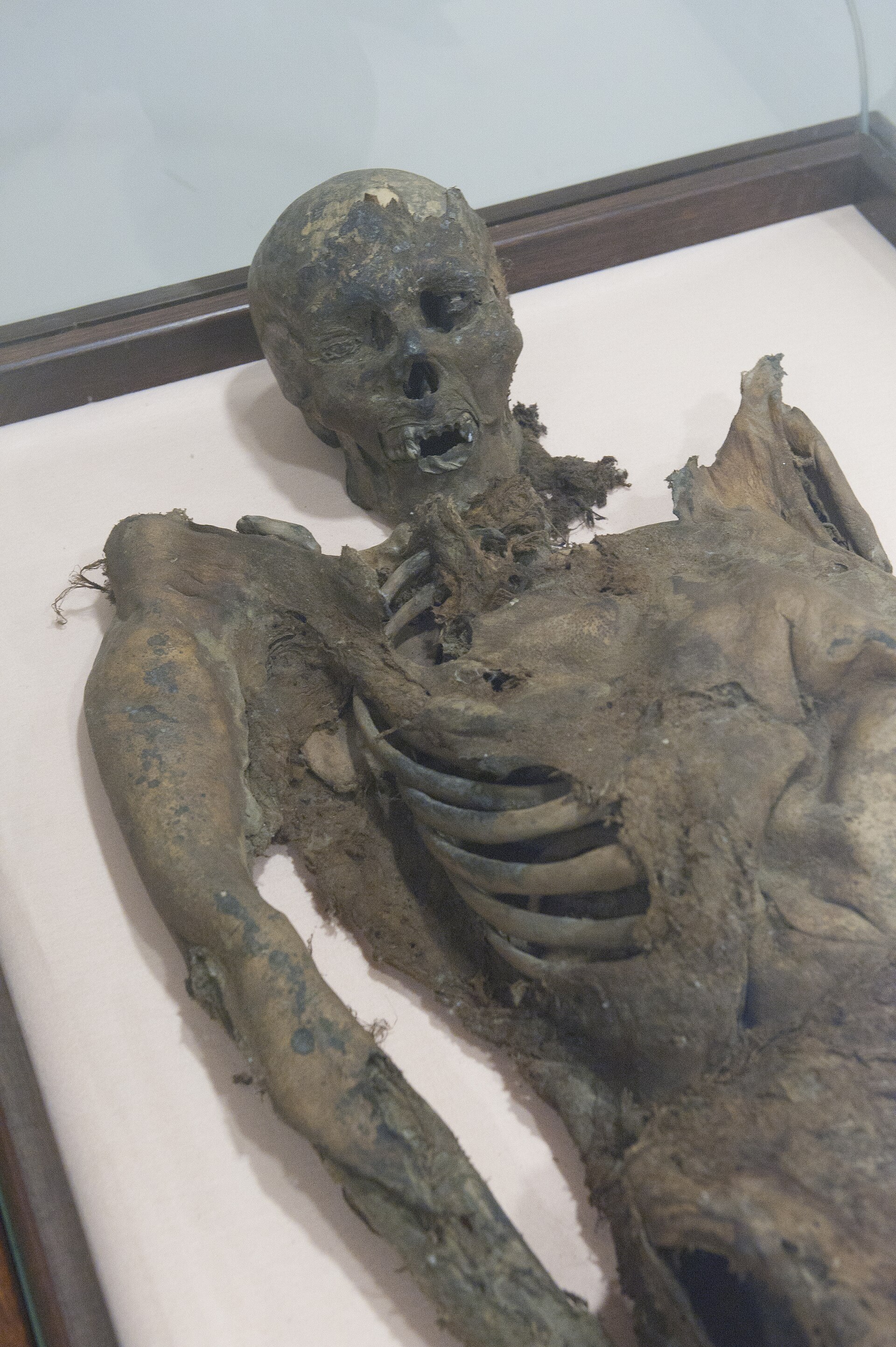 Amasya Museum Sultan Mesud I mausoleum Mummies