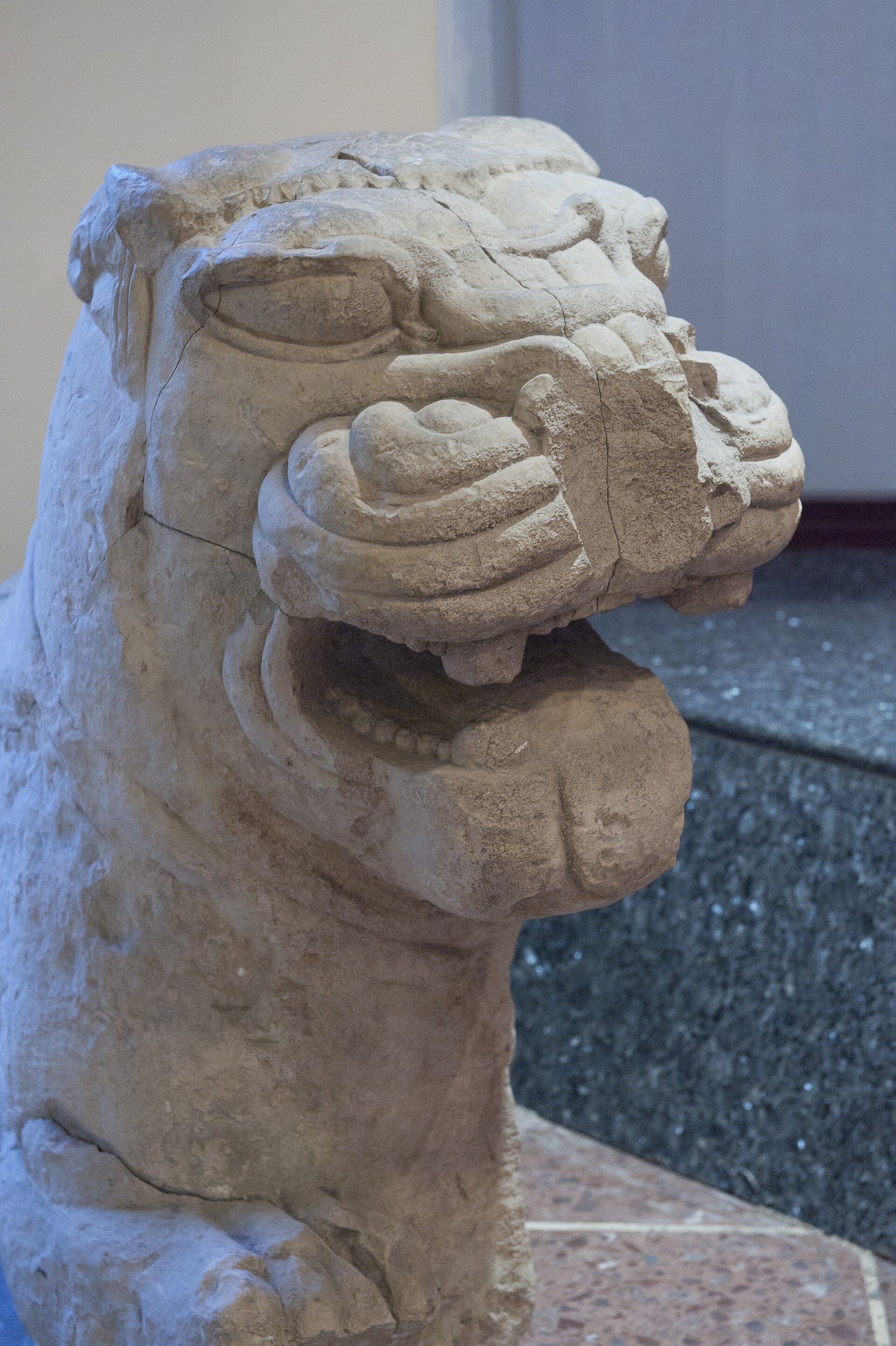 Amasya Museum Lion's head