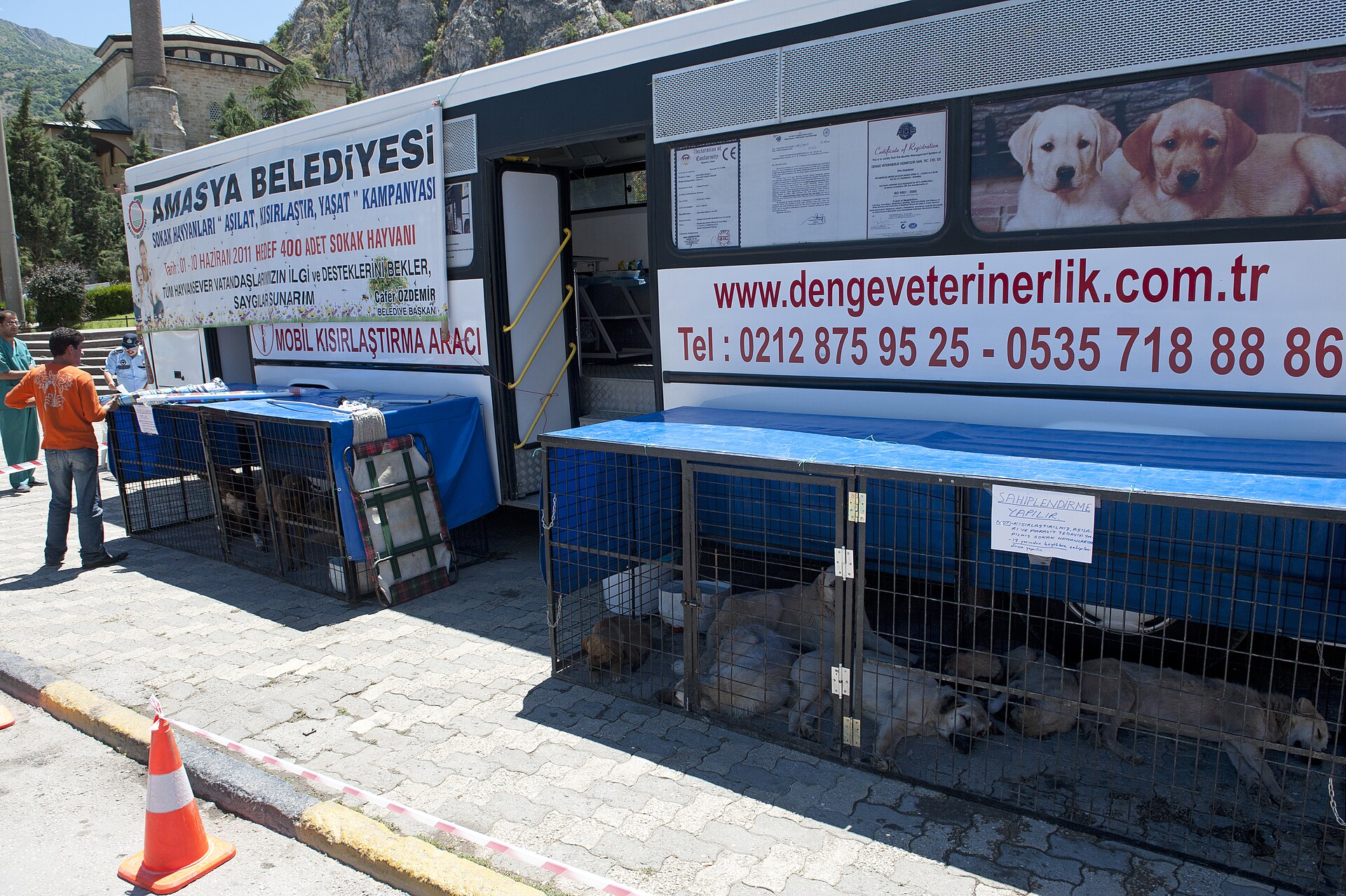 Amasya Street animals health campaign