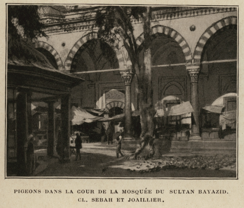 Pigeons dans la cour de la mosquée du Sultan Bayazid - Launay Louis De