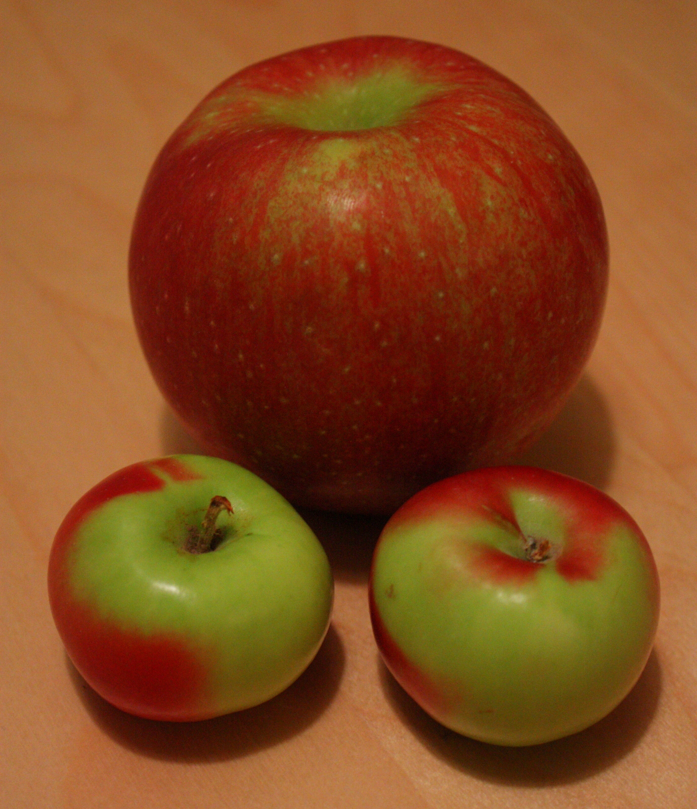 Lady apples-001
