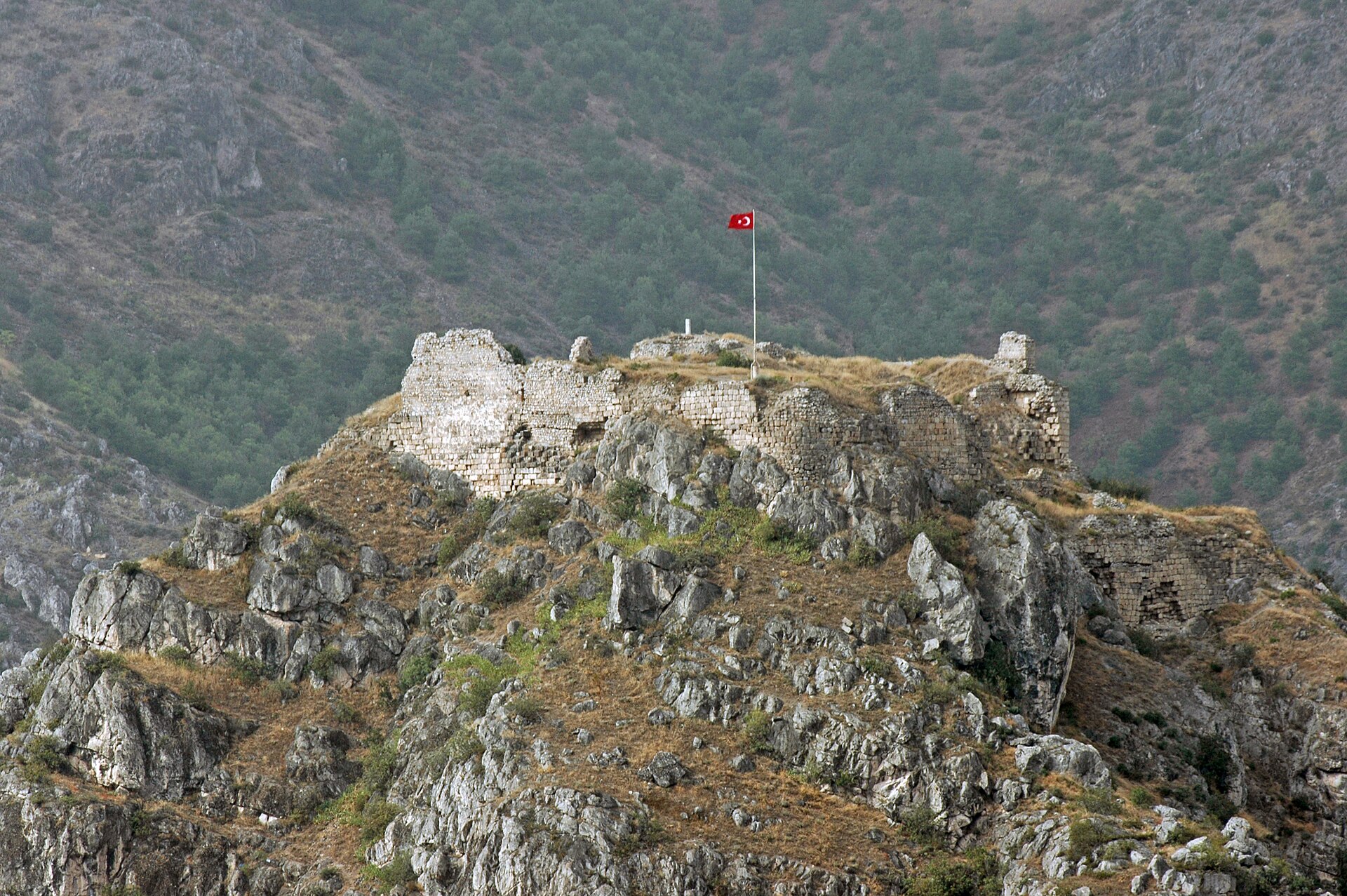 Amasya Usulü Etli Yaprak Sarma