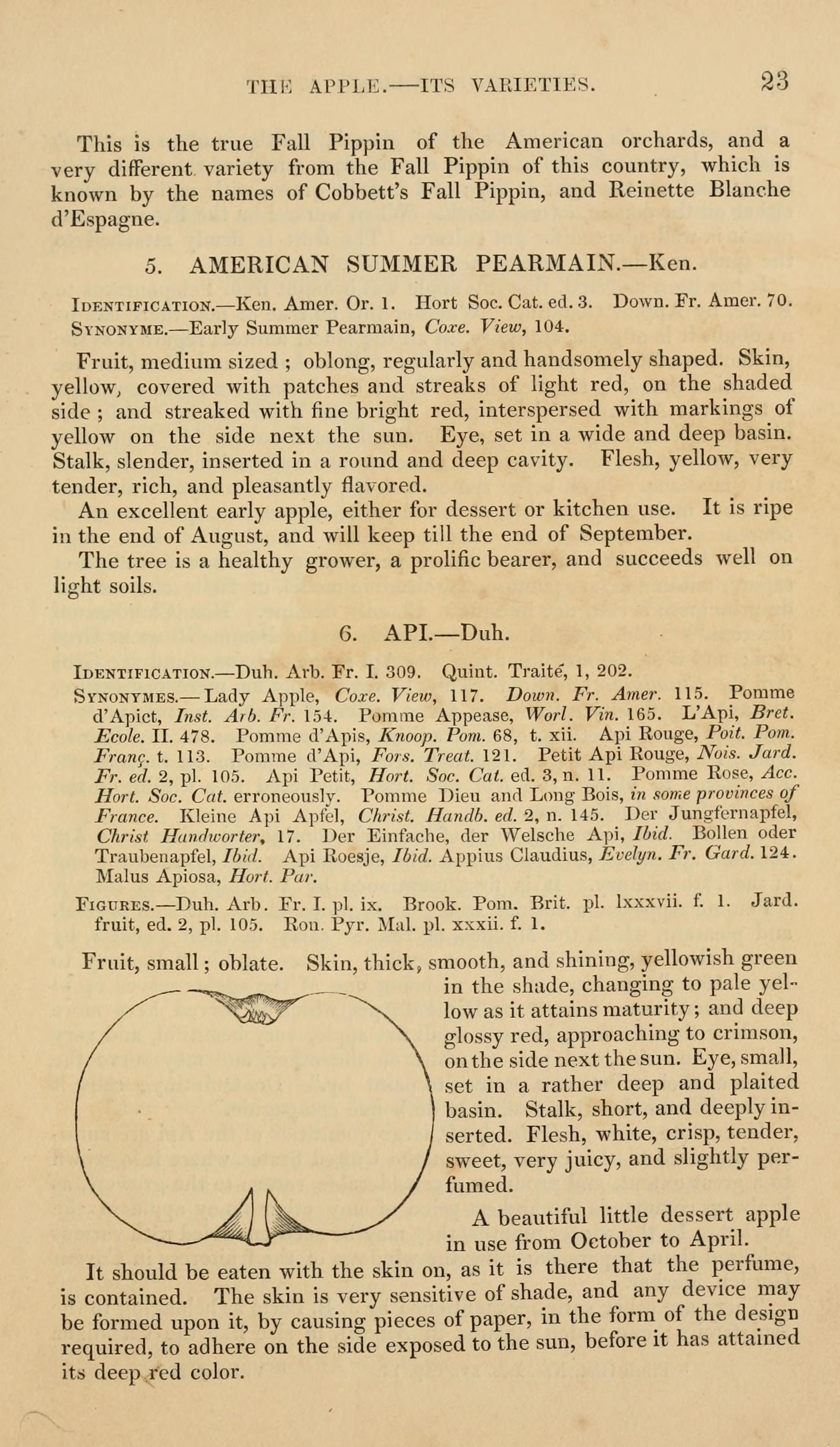 British pomology (Page 23) BHL6235813