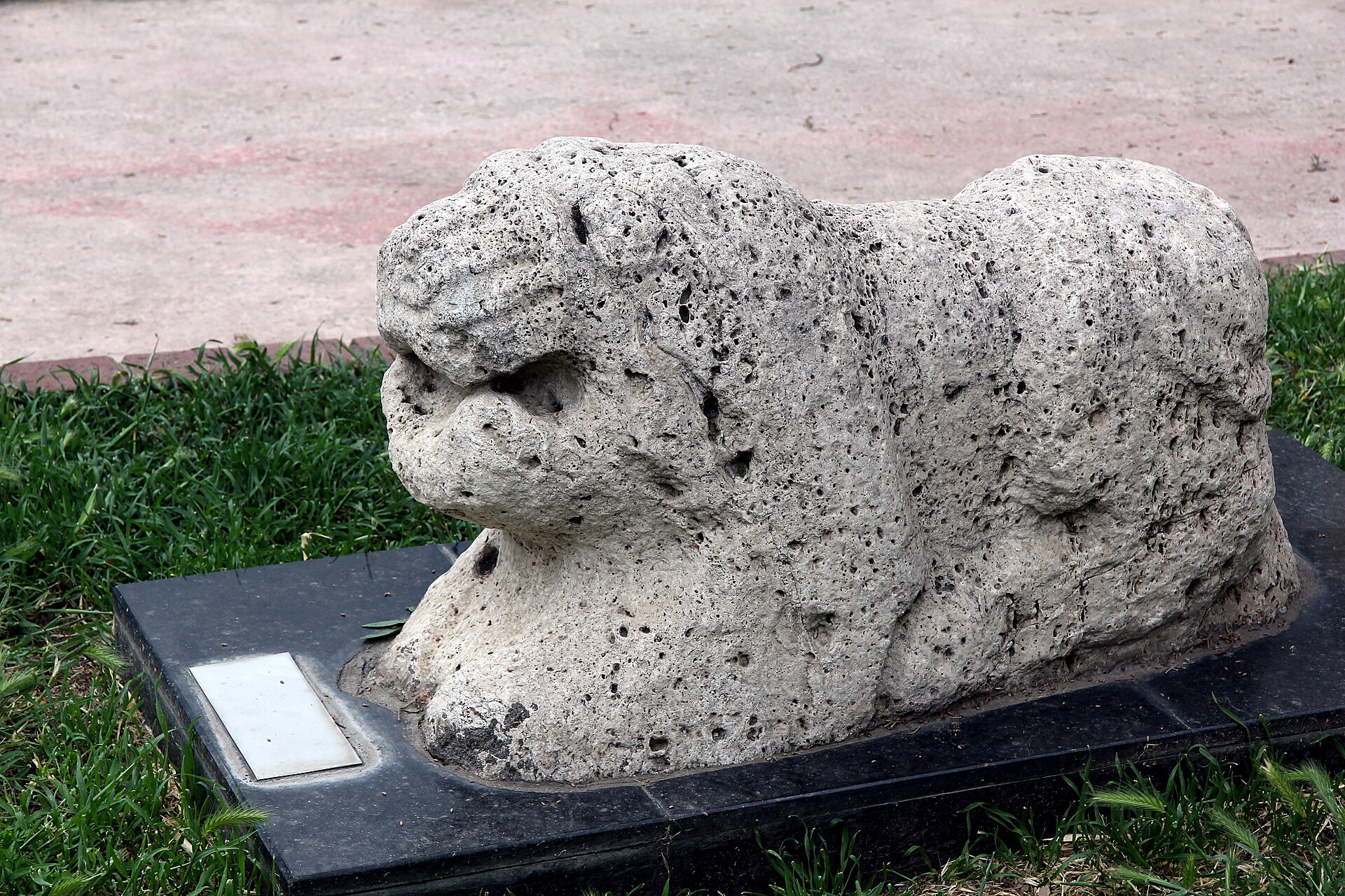Amasya Museum