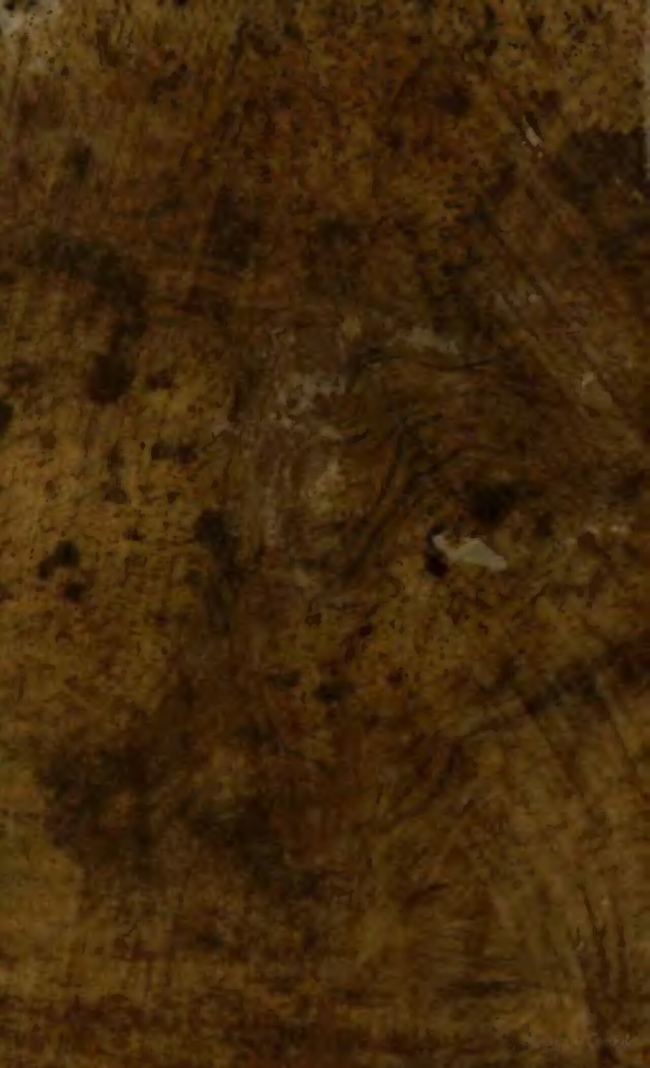 Della geografia di Strabone libri XVII volume