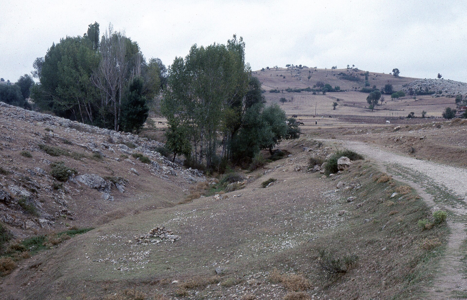 Ahmed Paşa -Çayırköylü