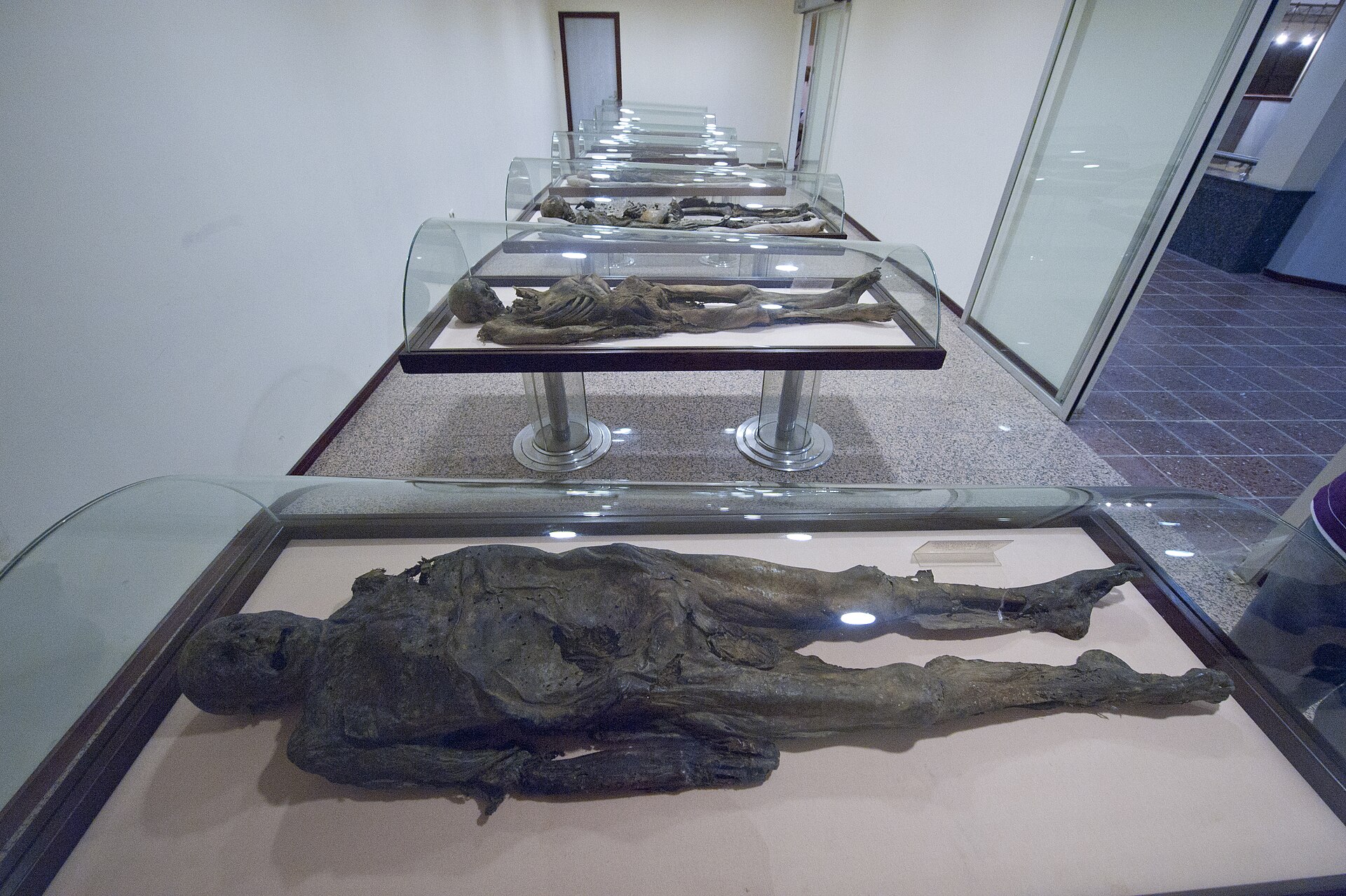 Amasya Museum Sultan Mesud I mausoleum Mummies
