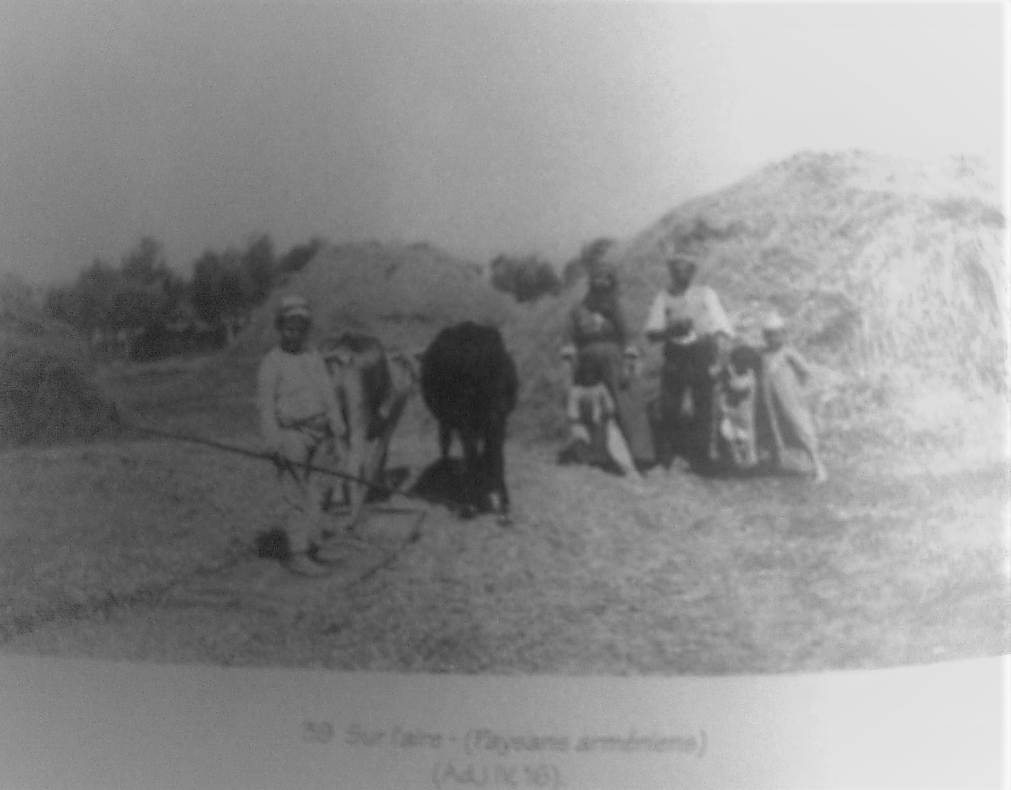 Amirdovlat Amasyatsi: Fatih'in Başhekimi, Amasya'nın Ermeni Doğa Bilgini