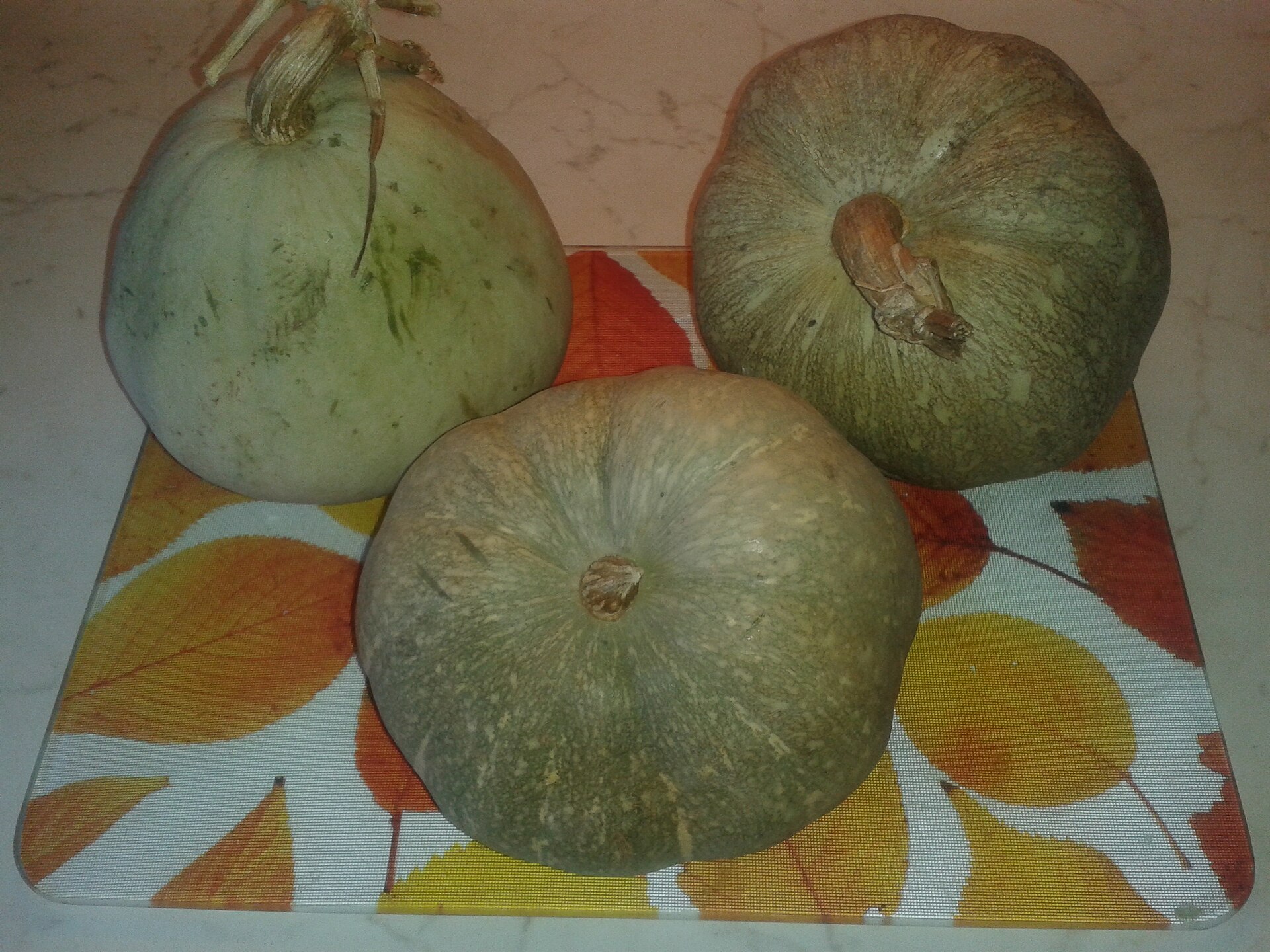 Kil pumpkins