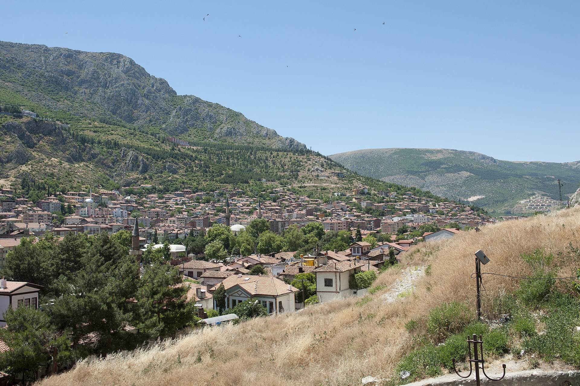 Bülbül (Ne Ötersin Dertli Dertli): Zigala Deyişi