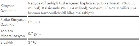 Terziköy Kaplıcası'nın kimyasal özellikler tablosu