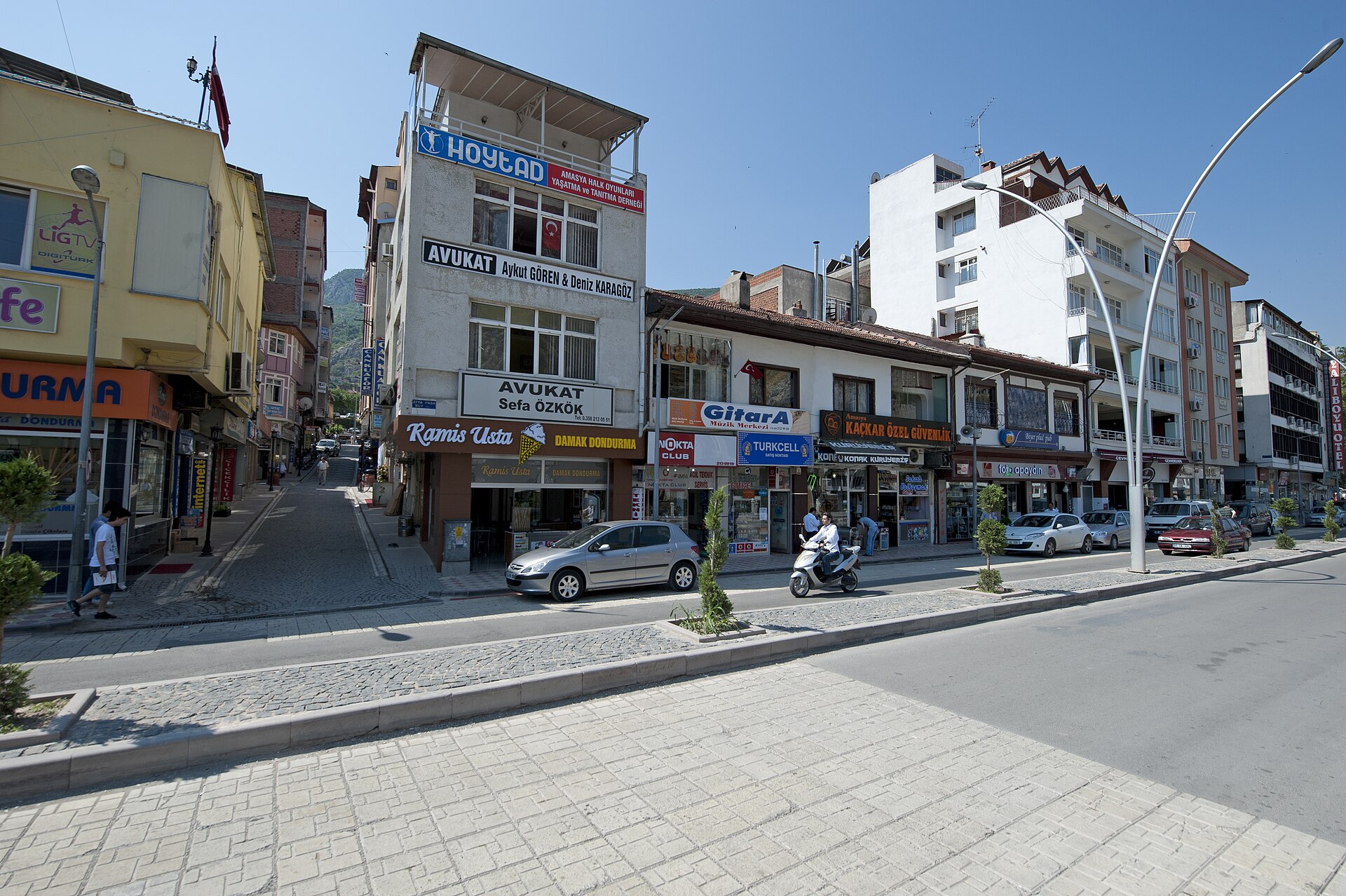 Râşid Mehmed Efendi: Ziya Paşa'nın Amasyalı Tahrirat Müdürü