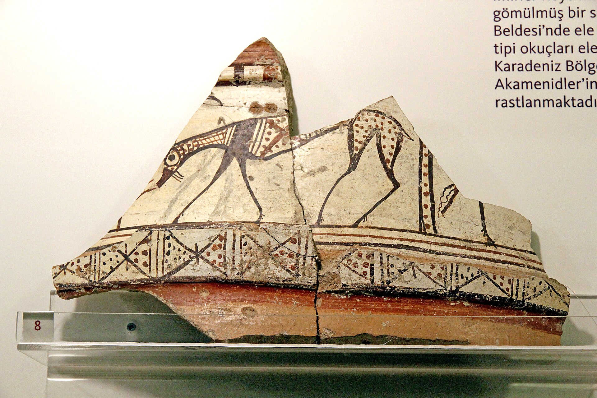 Amasya Museum