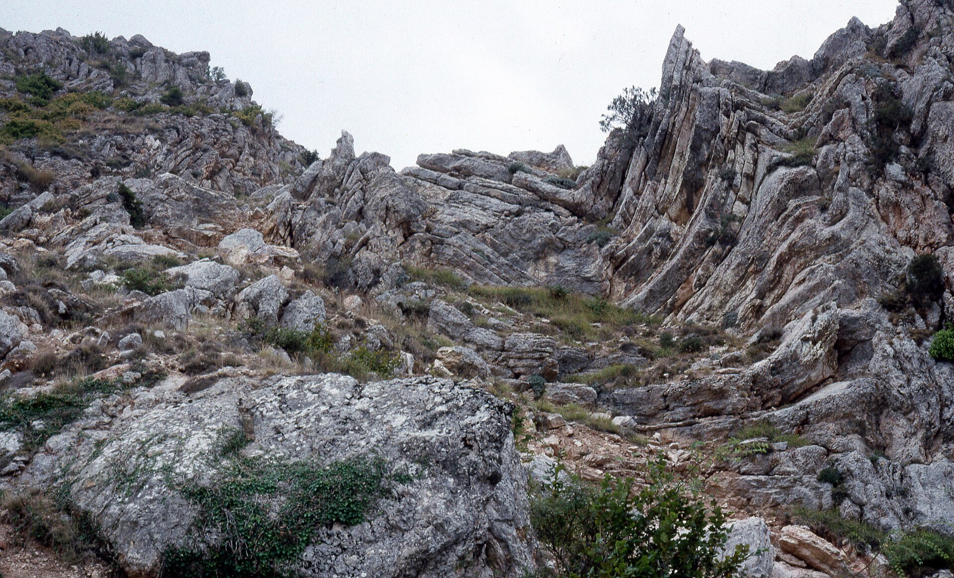 Amasya'nın Dağları: Zirveler, Yükselti Basamakları ve Yaylalar