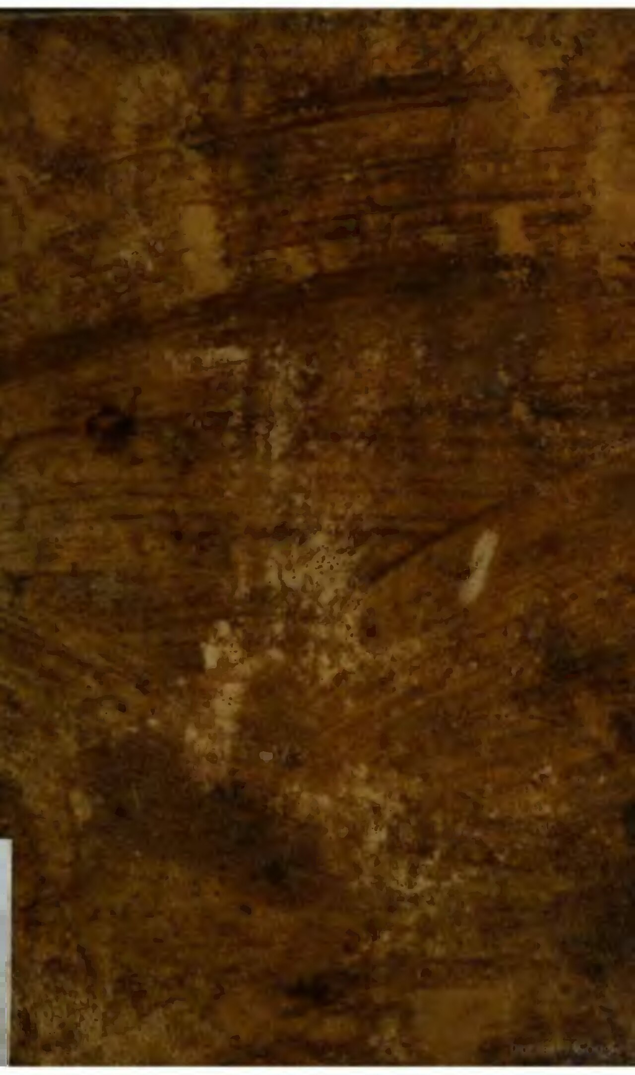 Della geografia di Strabone libri XVII volume