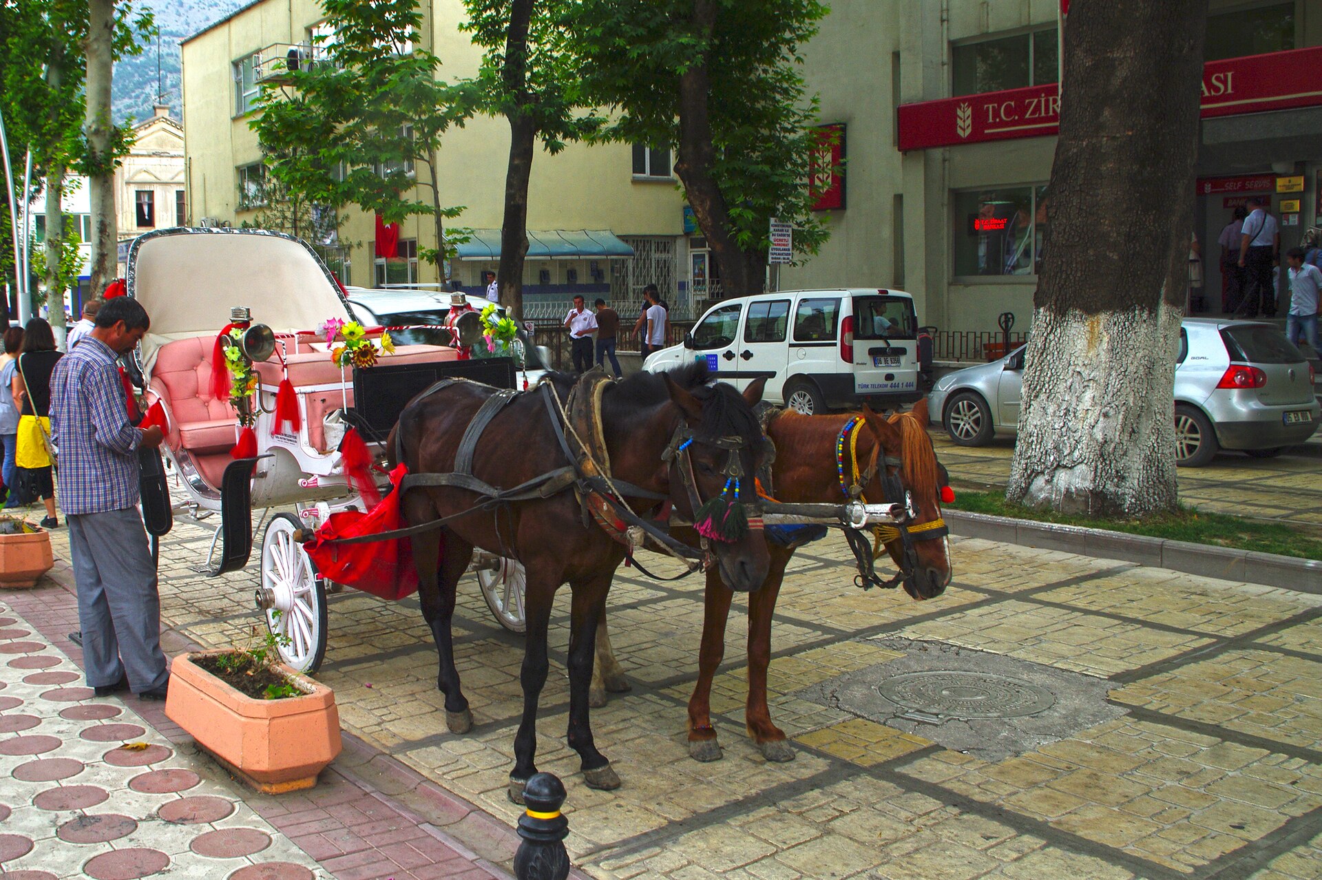 Phaeton in Amasya