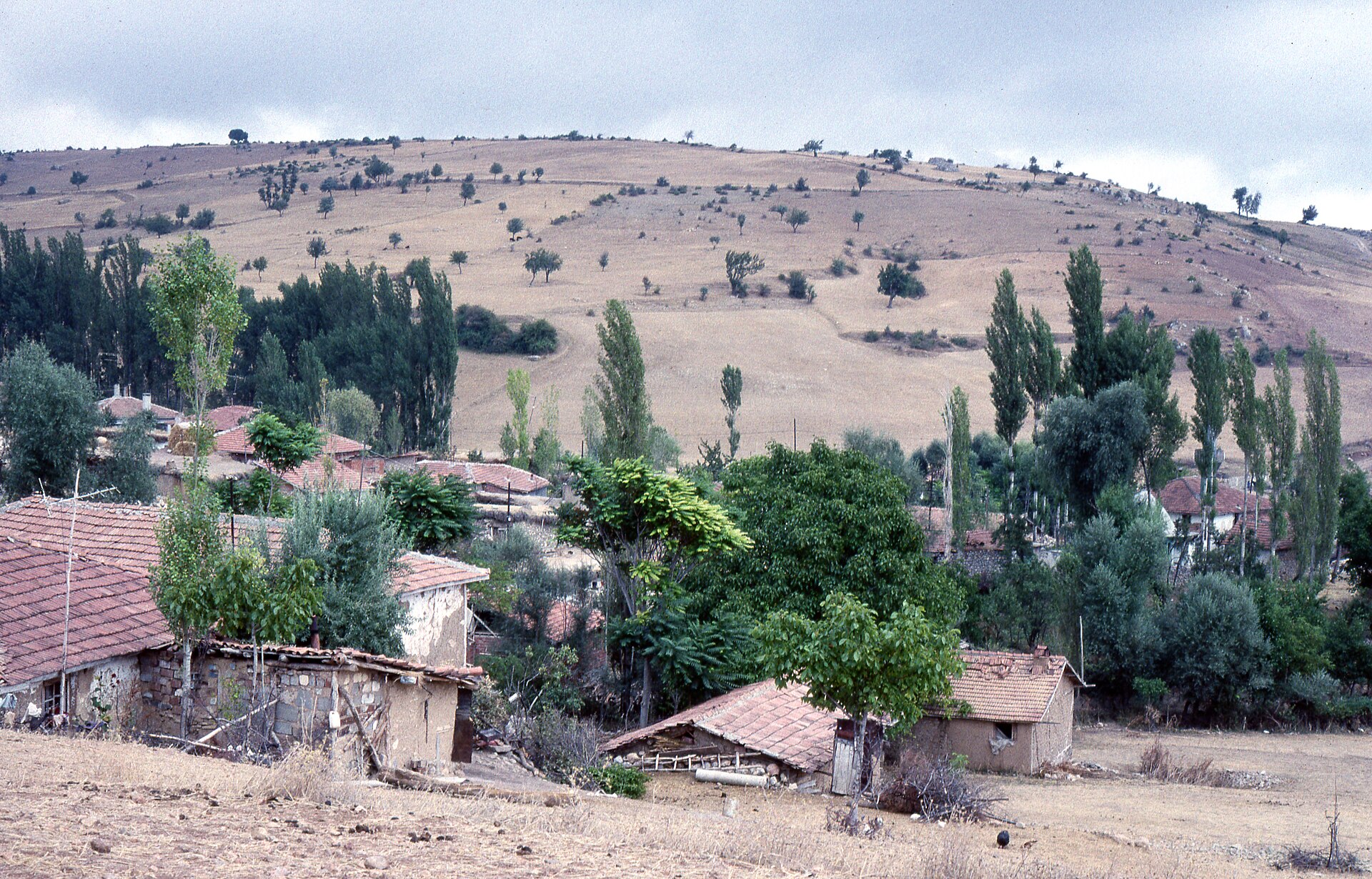 Amasya Mountain to south Village in 1990s