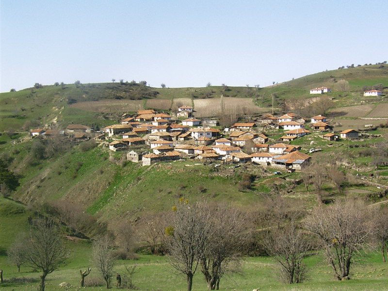 Temennâyî Ali Çelebi: Temennâ Mahallesine Adını Veren Şair
