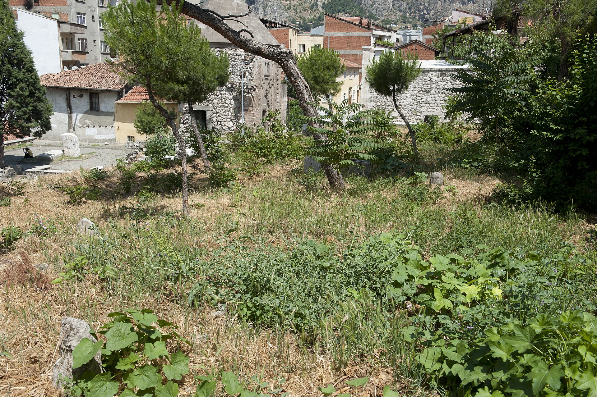 Amasya'da Erken Türk-İslam Mimarisi: Danişmendlilerden İlhanlılara Taş Yapılar