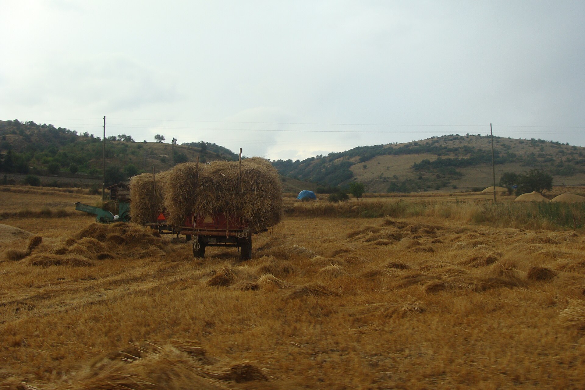 Çoban Hüseyin: Yukarı Ovacıklı Âşık Hüseyin Çemrek