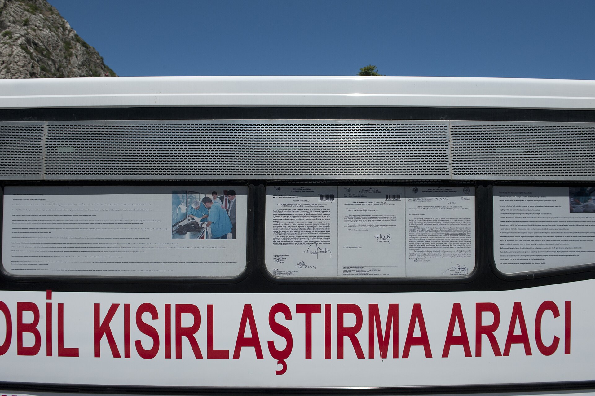 Amasya Street animals health campaign