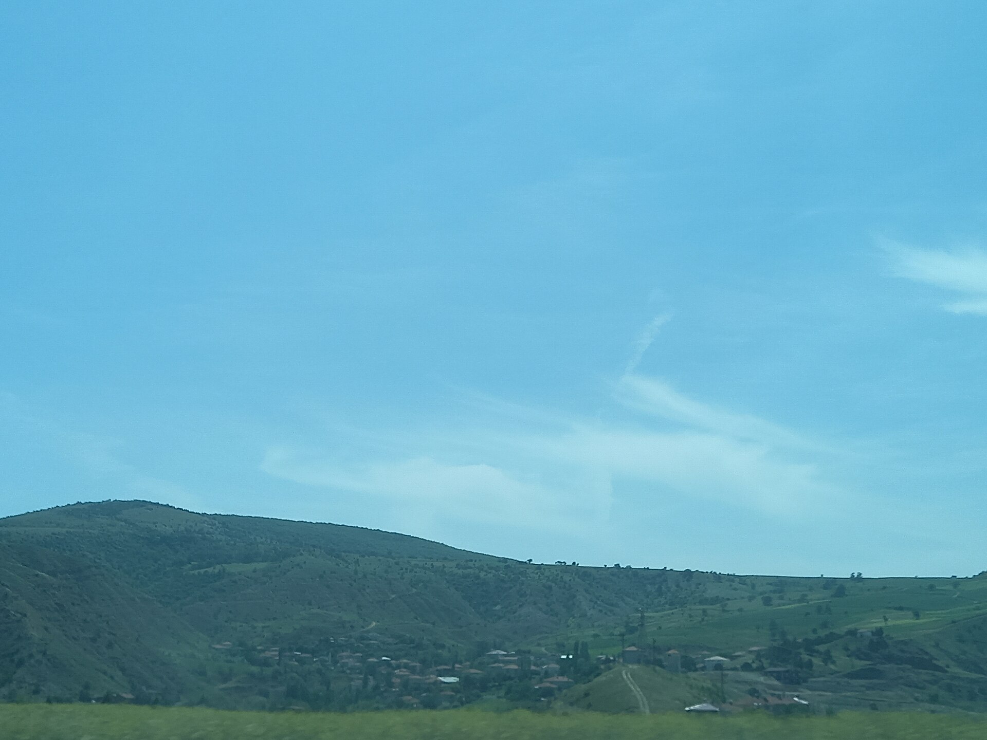 Yedikuğular Kuş Cenneti: Suluova'daki Yedikır Barajı ve Kuşları