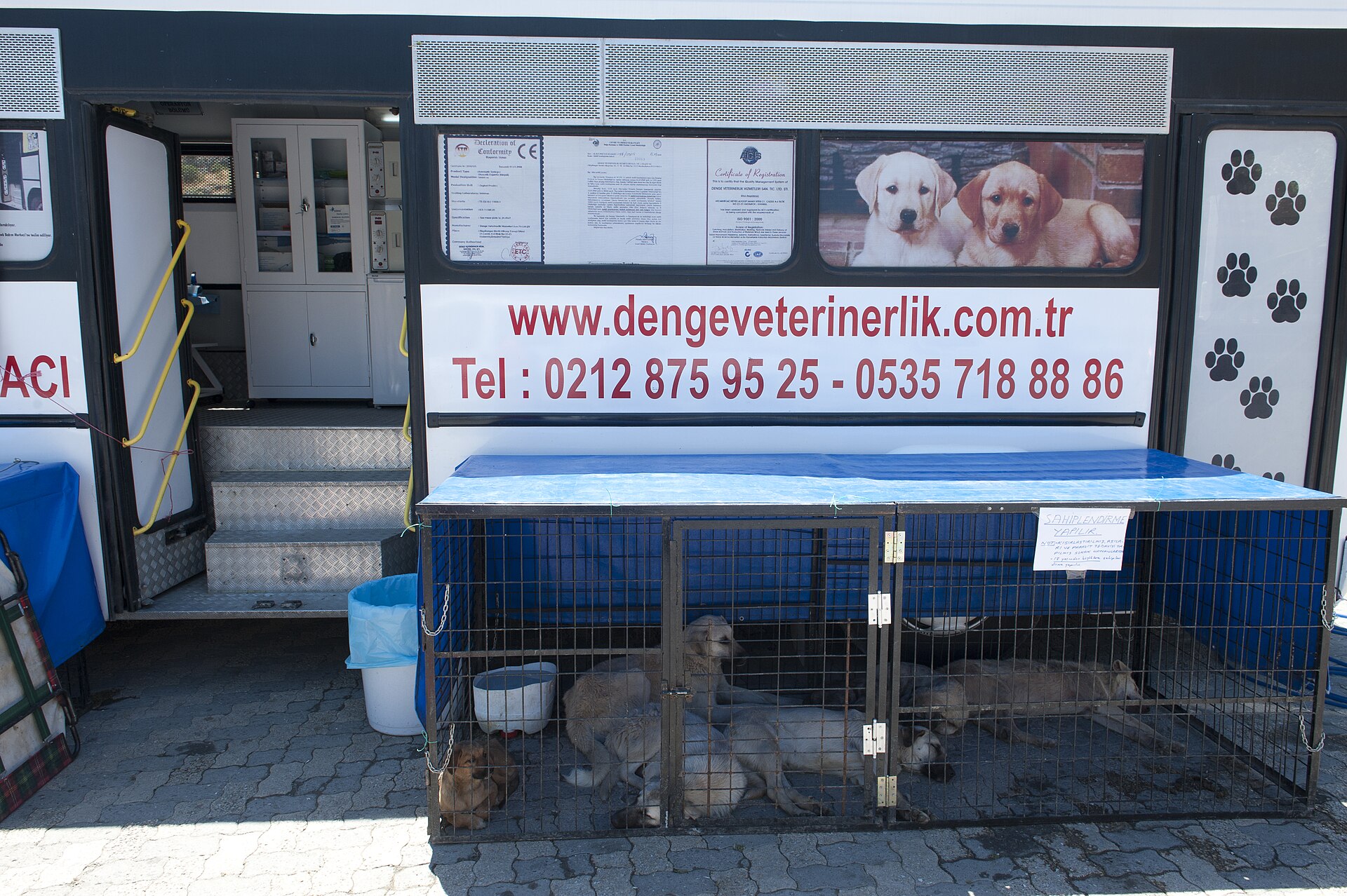 Amasya Street animals health campaign
