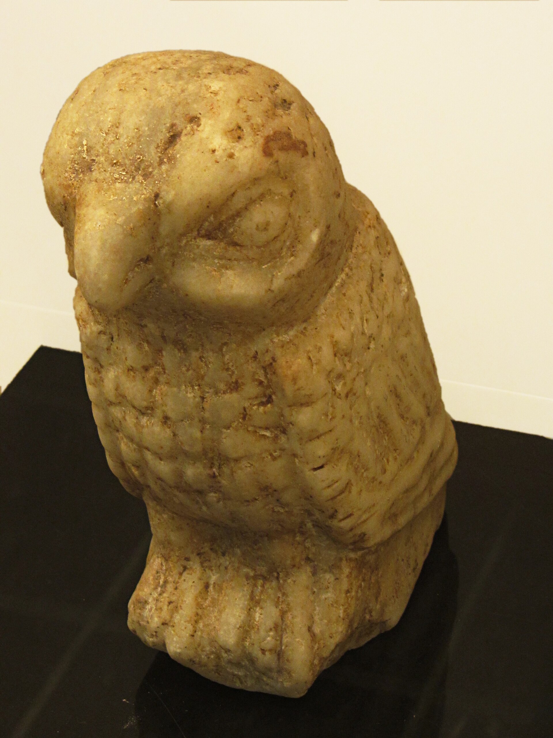 Amasya-Museum-Owl