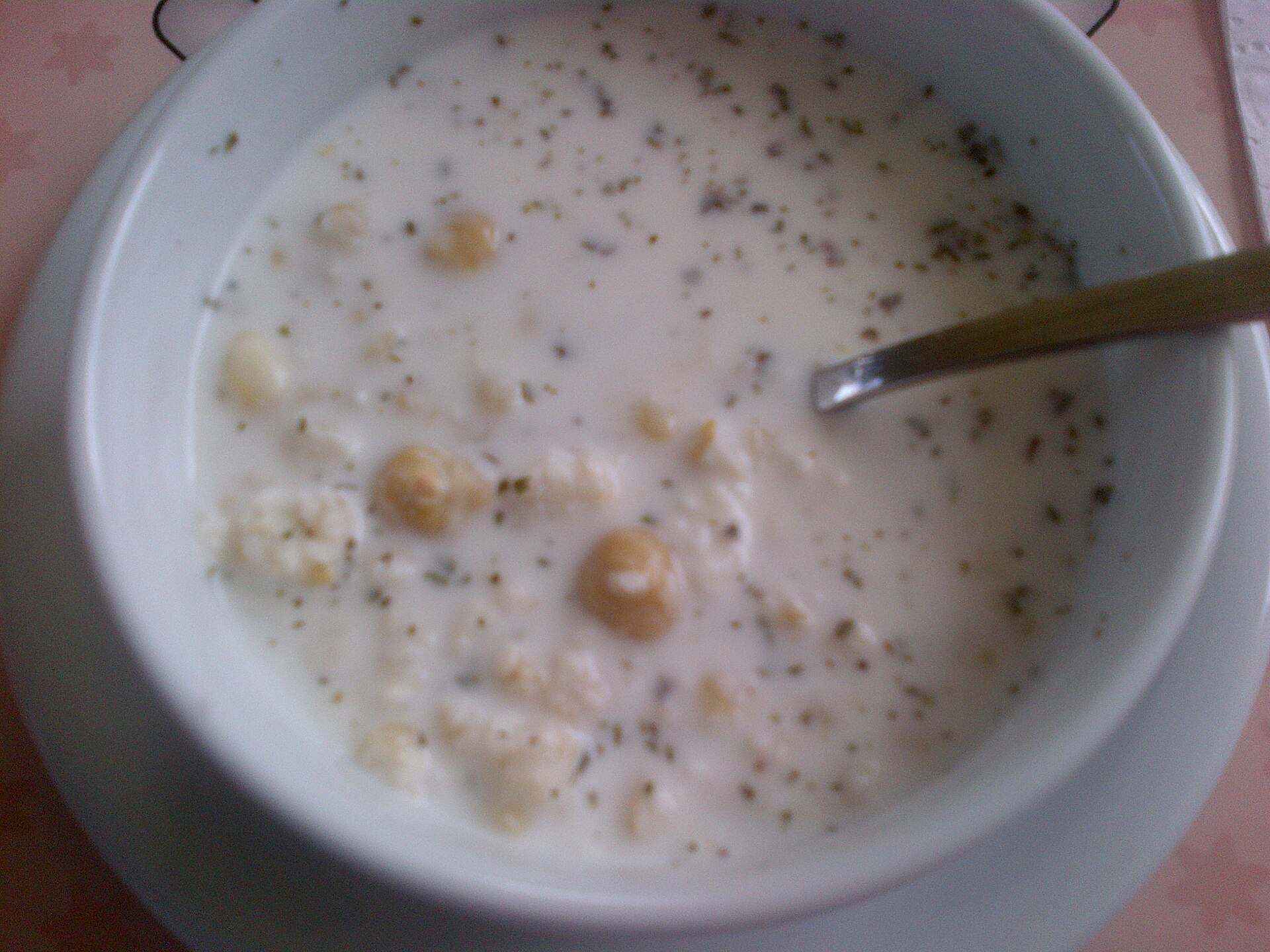Toyga soup from Turkey. Should look more yellowish but possibly lacks the egg yolk, one of the ingredients.